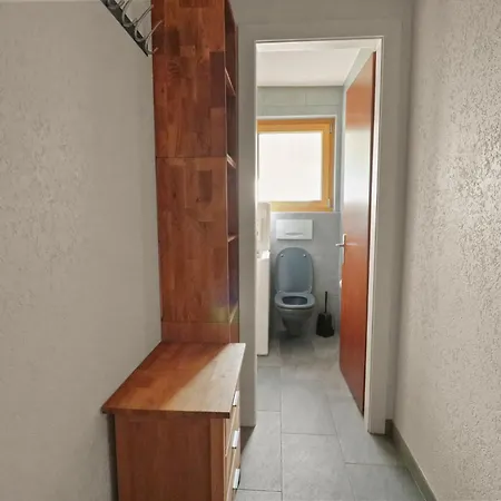 Apartment Spacieux Et Nendaz