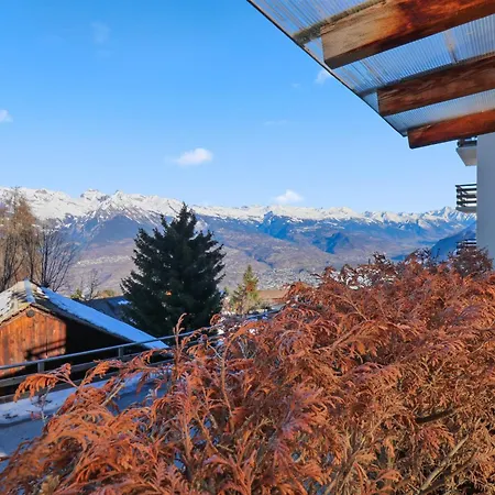 Apartman Spacieux Et