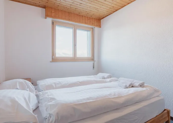 Apartment Spacieux Et Nendaz